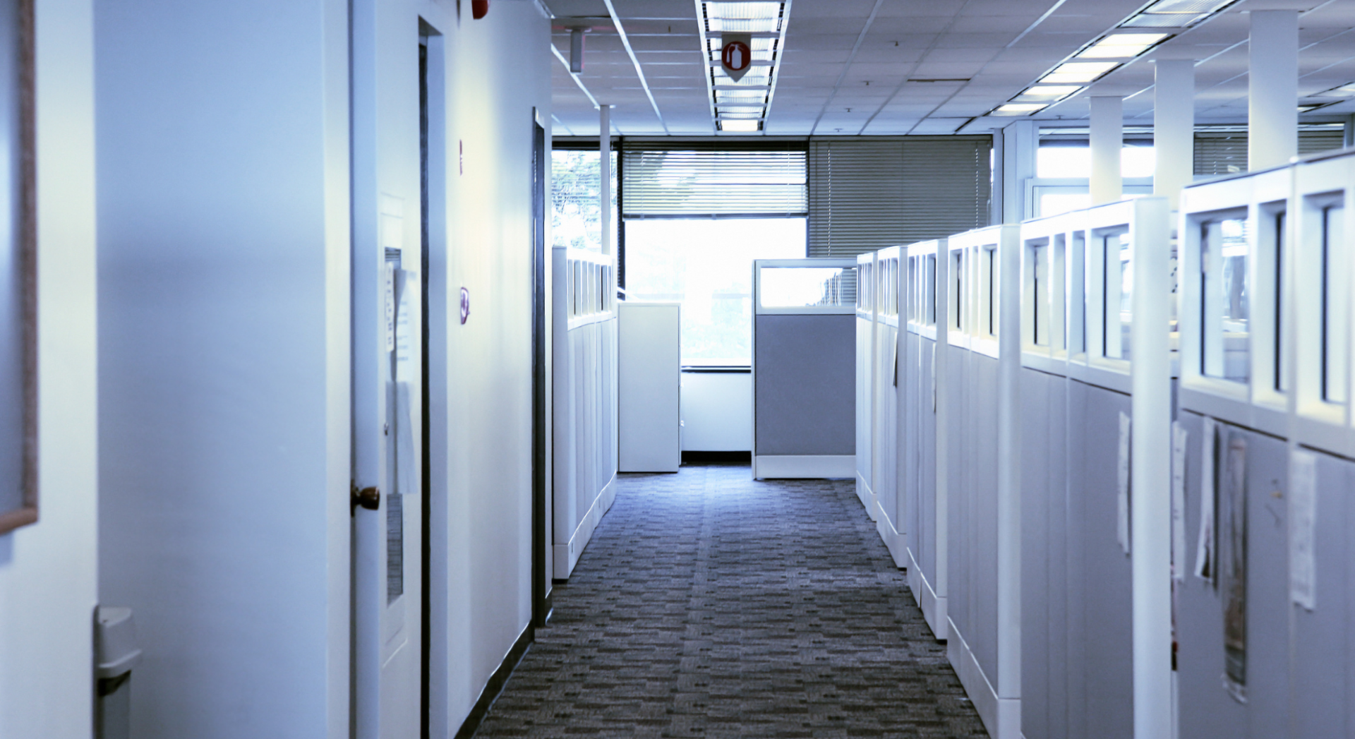 How Clean Workspaces Drive Employee Wellness and Performance