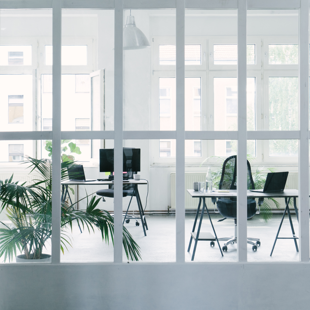 How Clean Workspaces Drive Employee Wellness and Performance